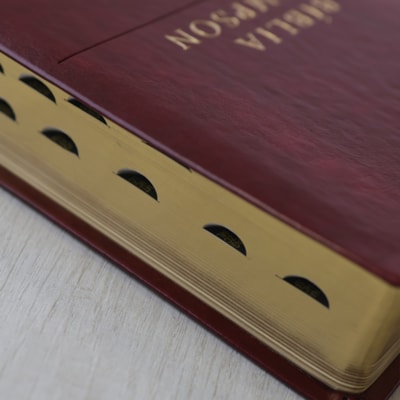 image_008bc2a6-4031-4822-82bf-dec3580531ec