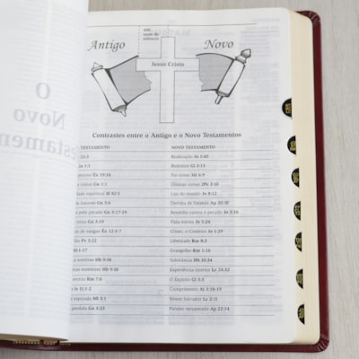 image_6e339bd9-b2e3-479e-afcc-491b2312a897