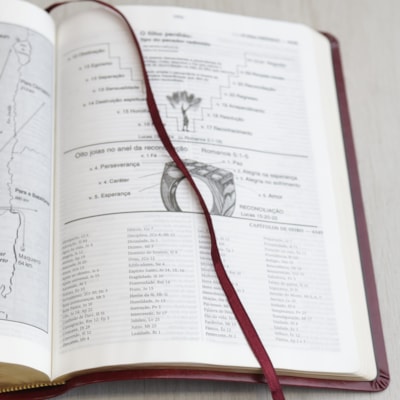 image_37d188db-f589-434a-9703-e6a208ac0544