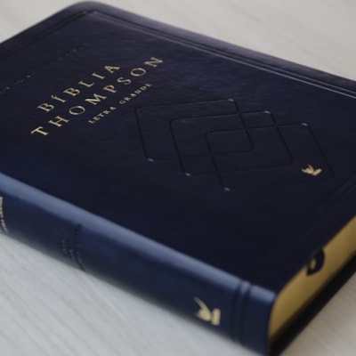 image_8bcf8ff8-542a-4923-a742-eef9a1190a10