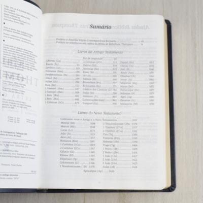 image_02a19372-b00e-4e72-abb4-f1916961f345