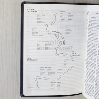 image_12191a51-22df-41a2-8457-970040d81688