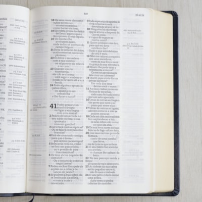 image_934bcee8-85a0-4831-937d-3c1b62a5565e