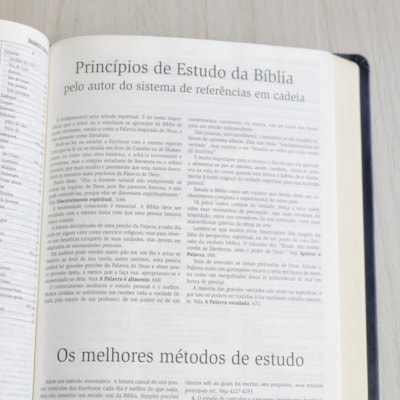 image_ada4b546-de3f-4602-b58e-879cdf4a8233