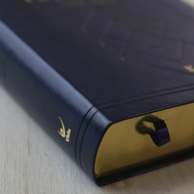 image_5304ac2a-f22f-4c51-b416-0ce7cdd4b276