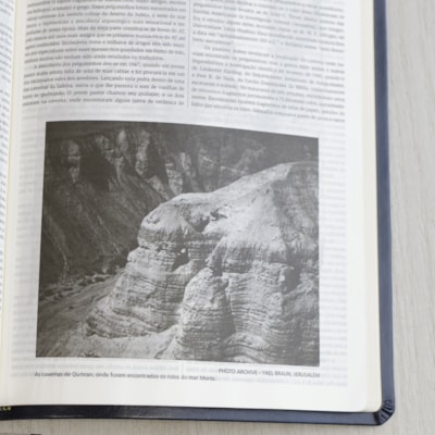 image_29695f6f-af01-4f5d-8b58-9928900d01b9