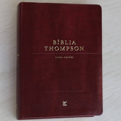 image_e96393ac-df8e-4da4-a040-6b9a753b47ec