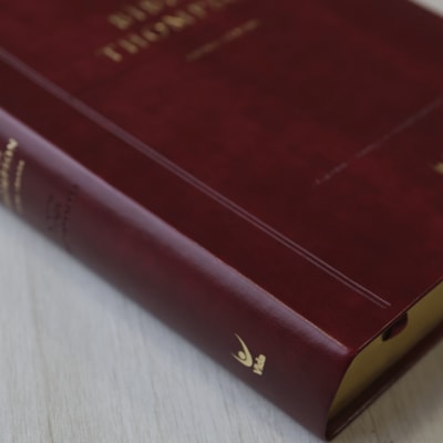 image_f99aadf8-3171-4506-b40d-3c27cea8c66a