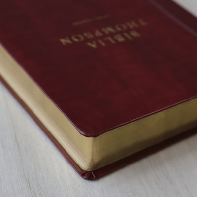 image_a434c19b-898e-4851-b8a9-787df4446299