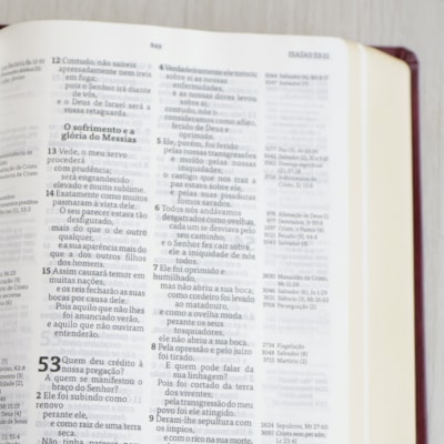 image_e1e0e7e3-09c4-4d0e-9318-ba1d329126a1