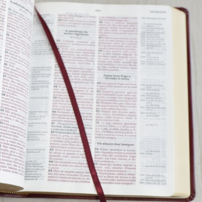 image_d1475636-001a-4f98-b47e-de83933e59c4