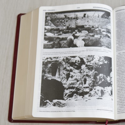 image_ed0a5899-2fe6-47b2-a66d-684cfec724cd