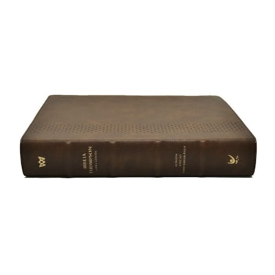 image_0895aeb1-86d7-4712-bda0-76f23122f48f