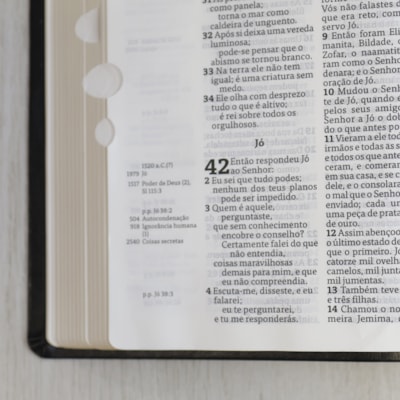 image_dd91c5f6-3814-46c0-85f5-bedfce16189c