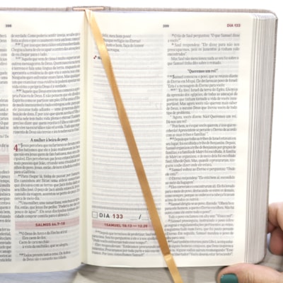 image_ea884f4c-5330-446d-994c-77d7118bcf4a