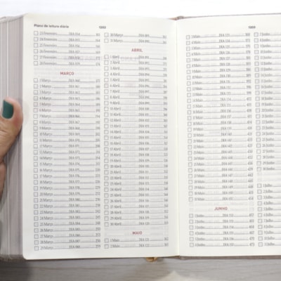 image_6bbaec80-5c38-4900-87c4-ea3b6c8bf286