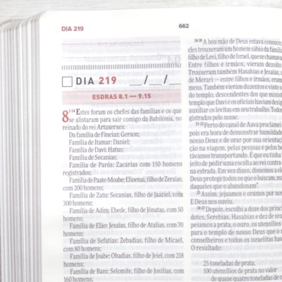 image_776ea67e-99d7-4868-a9d7-bbf1c8ea1165