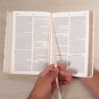 image_409a6ee9-c1a8-4254-8c20-c1cfca21054e