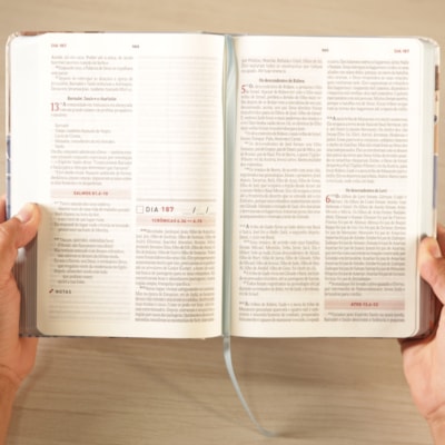 image_1949d1fc-b84b-4a88-bdc7-807d97c7d342