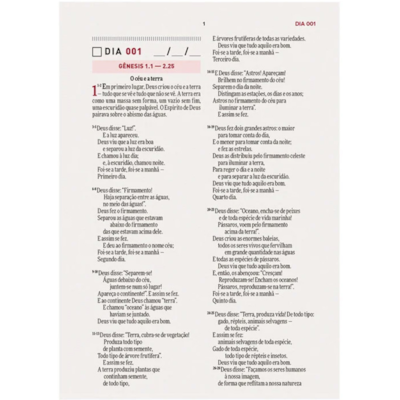 image_d7e05756-6b7a-4560-8080-ed194b11179f