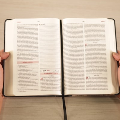 image_07de3ee6-b486-4cb4-a675-d4a7f477d32e