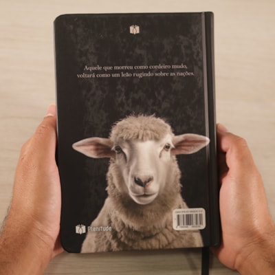 image_f38b64fc-ec30-4e50-bc66-9c18ea216bd6