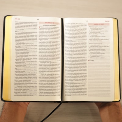 image_c3847aa6-c22f-4f74-a326-0a816e374e3f