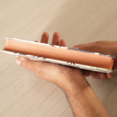 image_d8f623ba-a7bd-4377-ae32-58c562f9d35d