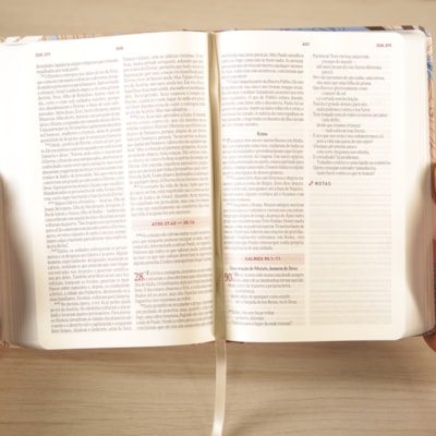 image_bd024f29-fc94-45ca-9bbd-e6065476e87e