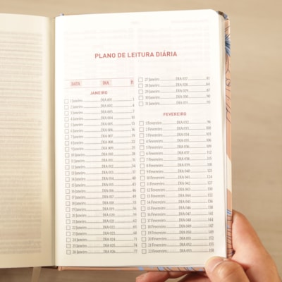 image_733a0c6a-8974-43e1-9eff-b132bb215900