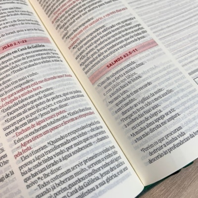 image_1ff8c82c-b6e6-48b2-8a59-c3240ce0dac8