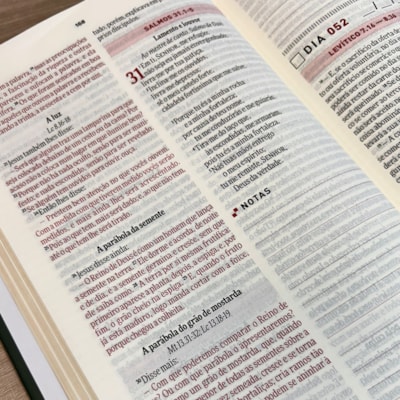 image_7e5dca33-84f4-4daa-80a3-f1adc0cf2c2c