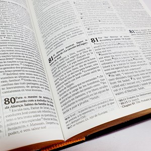 Bíblia Trilingue Média | NVI | Inglês Português Espanhol | Luxo Preta