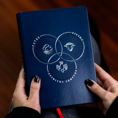 image_414f6271-0b1a-4fee-88c5-876795bbac96