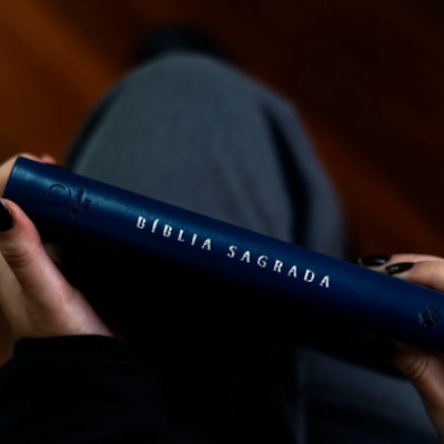 image_2ddd0826-33c3-4b2b-b785-3c17f8573970