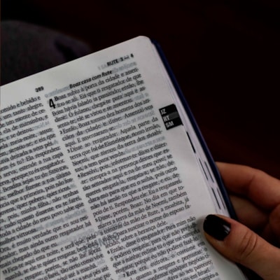 image_594ec23c-e087-4d1e-b489-8949bda6900a