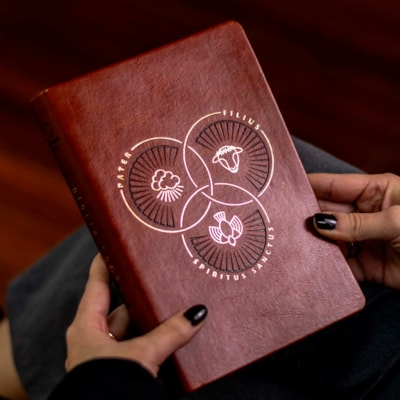 image_18f26a42-56f3-45ab-bdeb-f14a99db083b