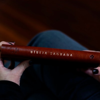 image_8d32b05e-9428-43af-ba6d-e1367f31dc69