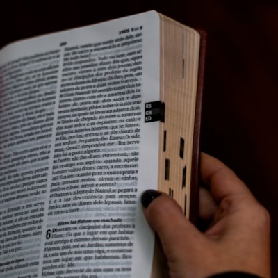 image_9d13c152-e162-4803-a674-42cfdbea1bcb