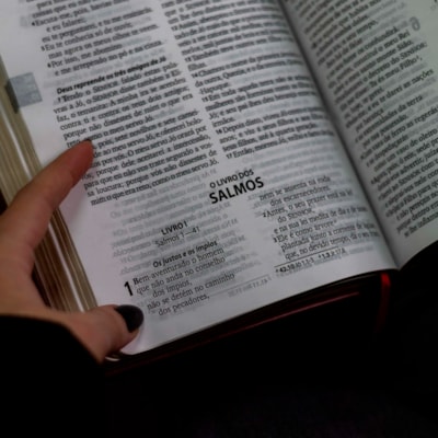 image_70b60002-441d-4a07-8919-94b2399cc9f0