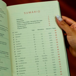 Segunda imagem do produto Biblia: Um Estudo Panoramico e Cronologico | Gerson Lopes Fonteles | 8º Edição