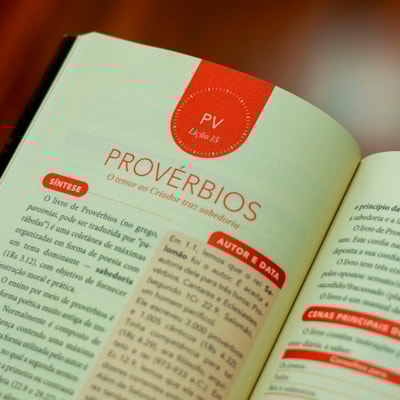 image_a75fdbf0-4ddb-48a6-a375-7cc0cfb95f0d