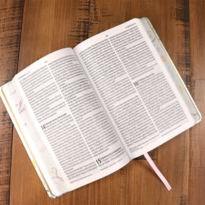 Bíblia Um Tempo Especial com Deus | NVI | Letra Gigante | Capa Passáros Com Relevo