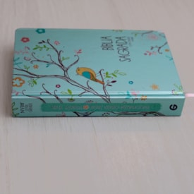 Segunda imagem do produto Bíblia Um Tempo Especial com Deus | NVI | Letra Grande | Capa Dura Pássaros