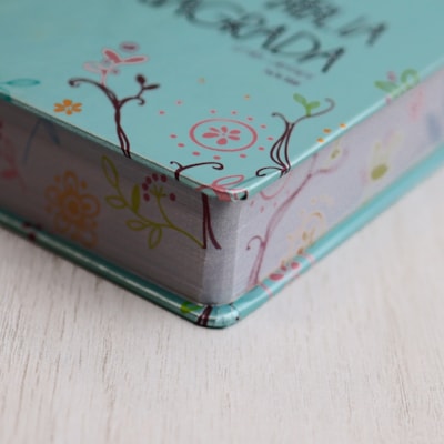 image_b7f19ff9-da7c-4d25-96c4-fb2b113564ef