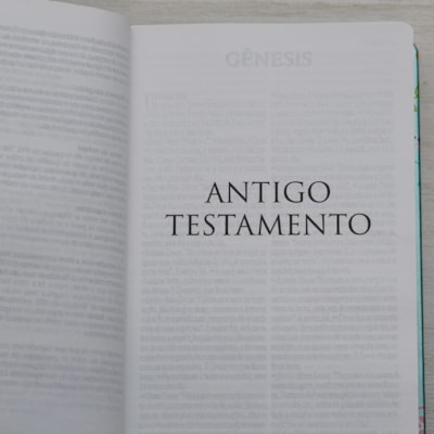 image_c2511ae3-33a8-4cf2-afd9-56688118f910