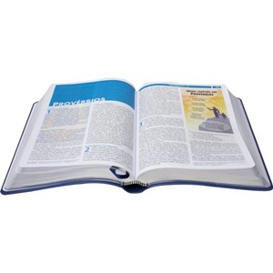 Bíblia Visual Com Infográficos | NTLH | Azul