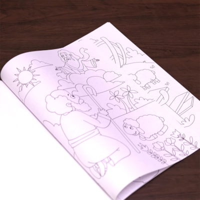 image_049c7db9-62cc-47e8-a533-906fe5cbb1d4