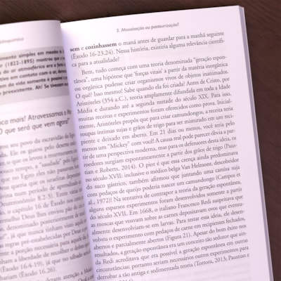 image_772a6676-f839-44e7-a84b-ddc88b0bf776