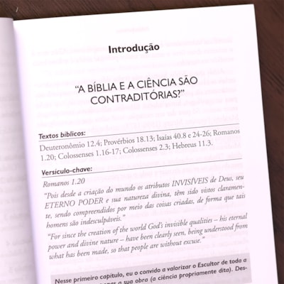 image_7d6c2958-ed4d-4590-bd20-a5685c794d1e